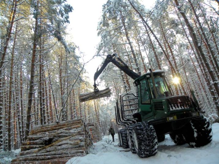 Pracujący forwarder. Fot. A. Wiśniewski